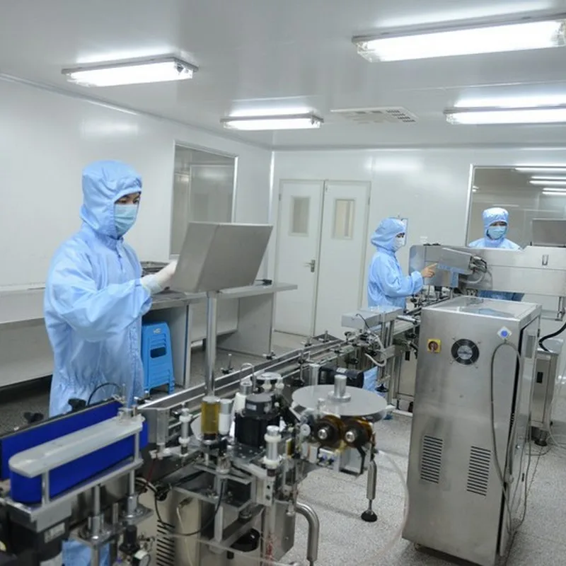 GANOHERB Hot Wholesale Scented Reishi Mushroom Osmanthus Black Tea Herbal Tea