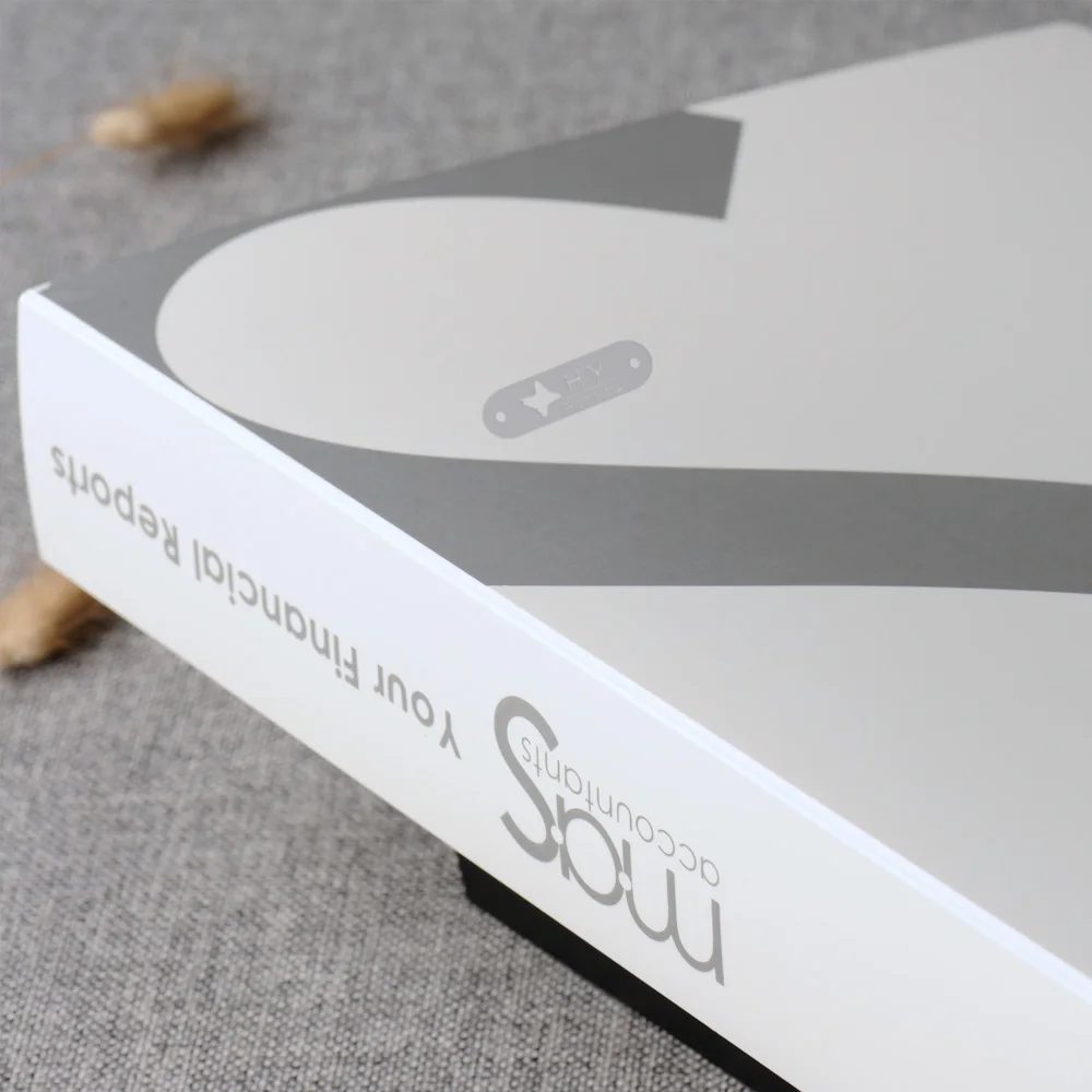 Wholesale Cheap Custom Logo PP Plastic File Folder with Slipcase