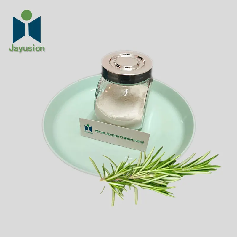 
High Antioxidant Ursolic acid 50% 98% Rosemary Extract powder steady supply 