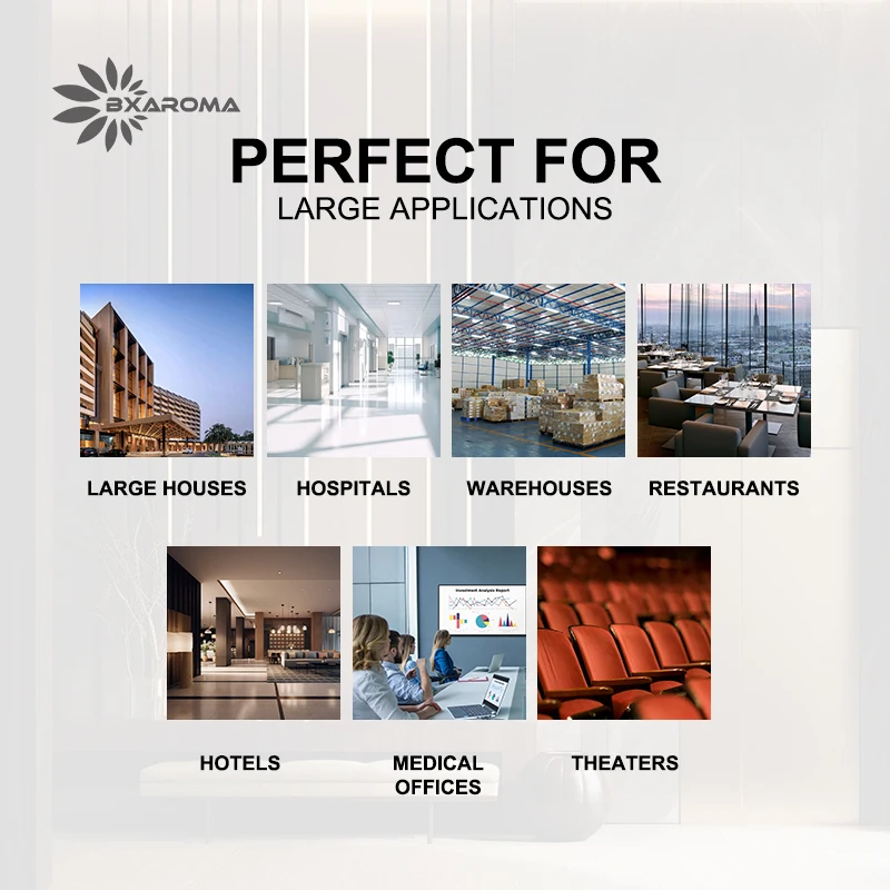 Bxaroma Новое поступление оптовая продажа ароматизатор ароматизатора для коммерческого отеля