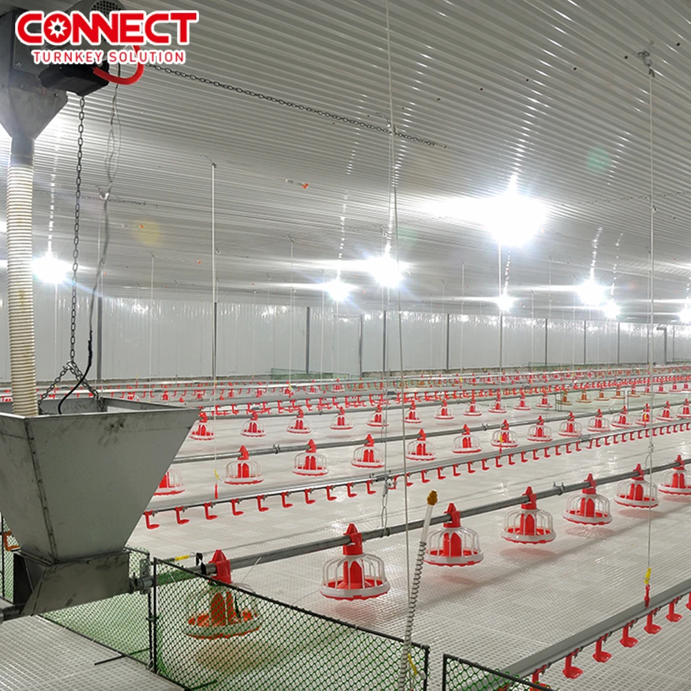 Automatic Industrial Poultry Egg Layer Breeder Broiler Farming Husbandry Raising Plant Line System for Chicken Farm Building