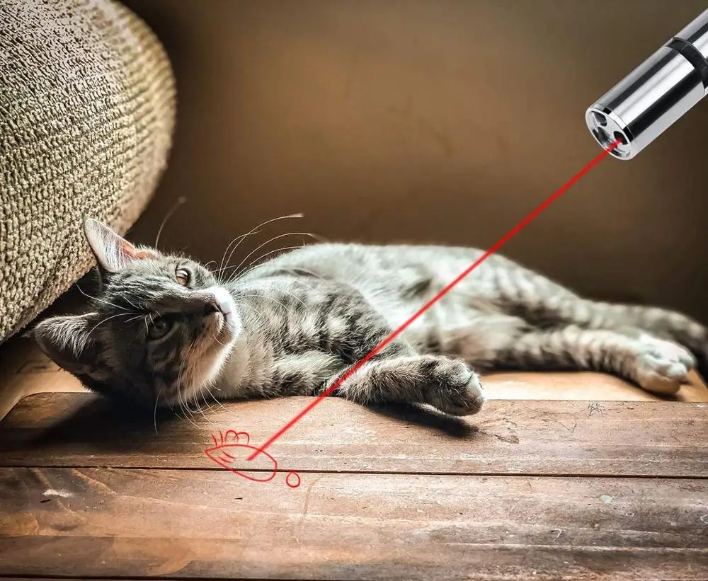 
USB Rechargeable Cat Laser Pointer Toys Interactive Laser LED Light Toy PET Toys Eco-friendly Stocked Stainless Steel 