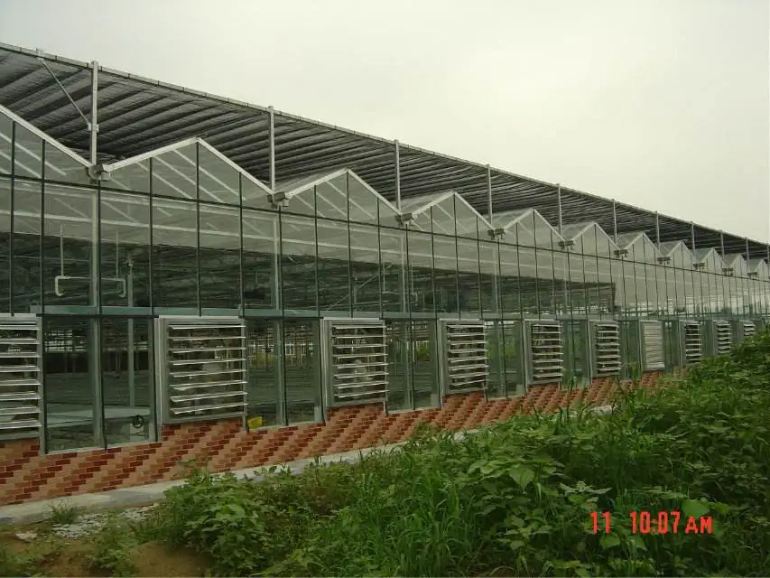 Factory price Poultry/greenhouse/workshop ventilation exhaust fan/fan blower