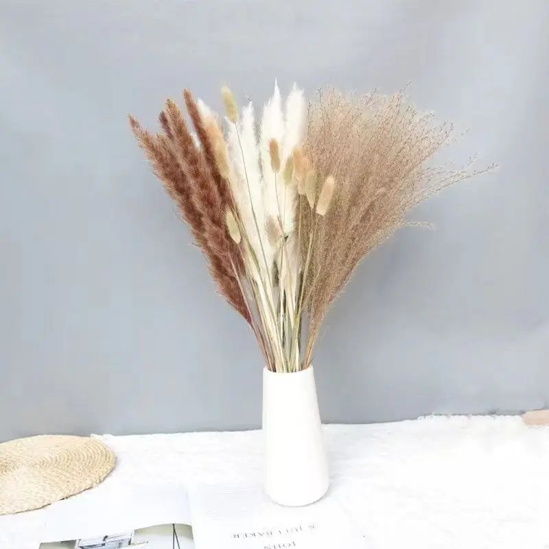 Manufacturers sell dried flowers, small reed dried flowers, cross-border Amazon pampas grass