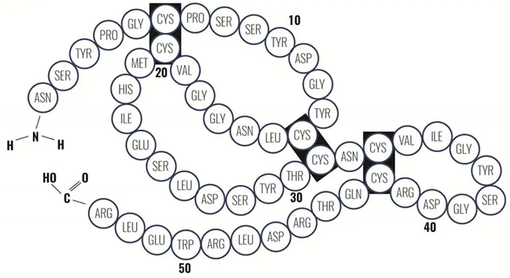 
Suppliers Provide Best Peptide EGF Raw Material 