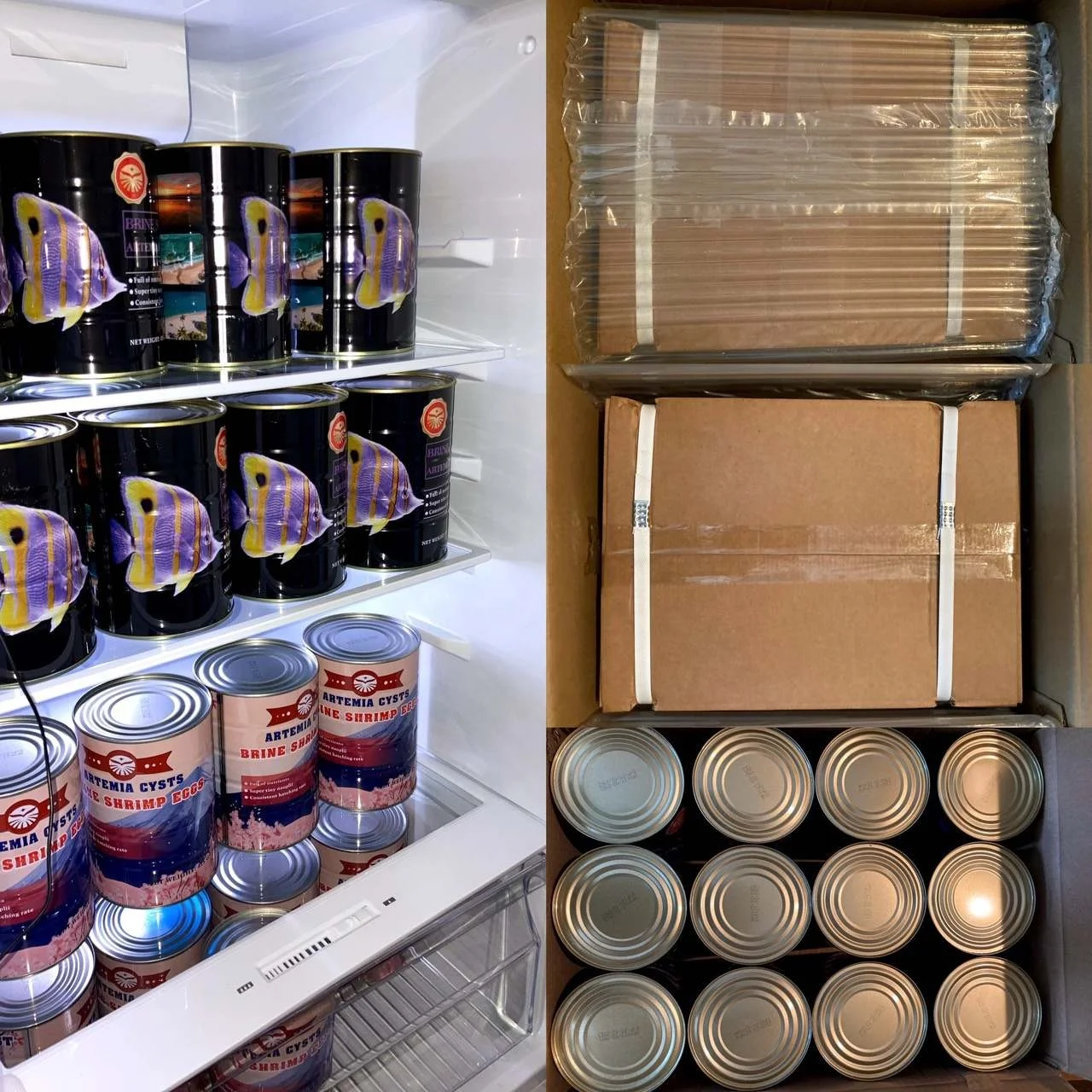Малый размер Bohai bay artemia cysts с 90% коэффициентом