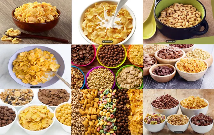 nachos chips production line