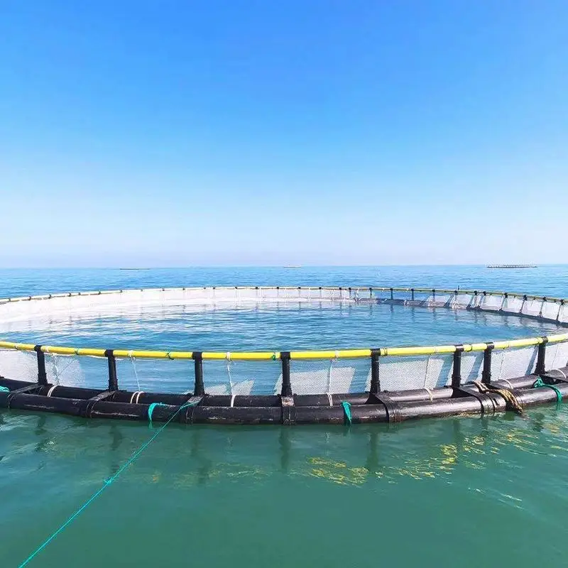 High quality hdpe aquaculture fish farming floating net cages equipment for tilapia fishing cages