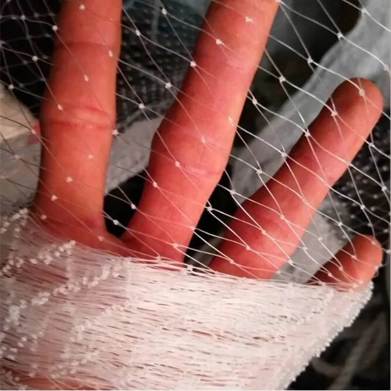 Anti Bird Plastic Netting With Low Price