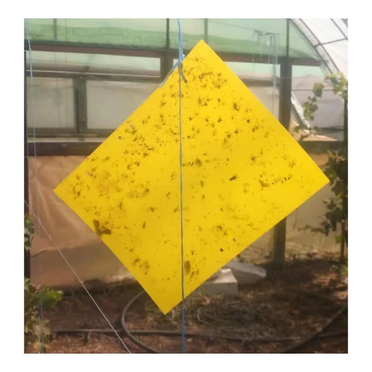 Insect Moth Thrips Pest Sticky Trap Glue For Greenhouse/Orchard/Vegetable Garden