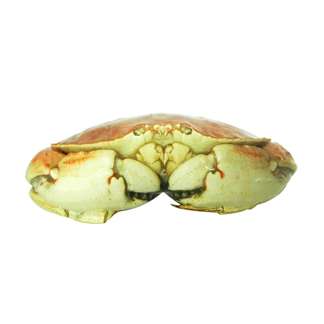 
now available cheap price jonah claws seafood live crab 