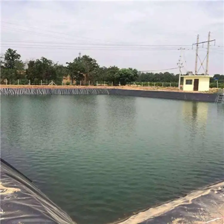 Hdpe пластиковый вкладыш для пруда толщиной 1 мм hdpe геомембранный полиэтиленовый