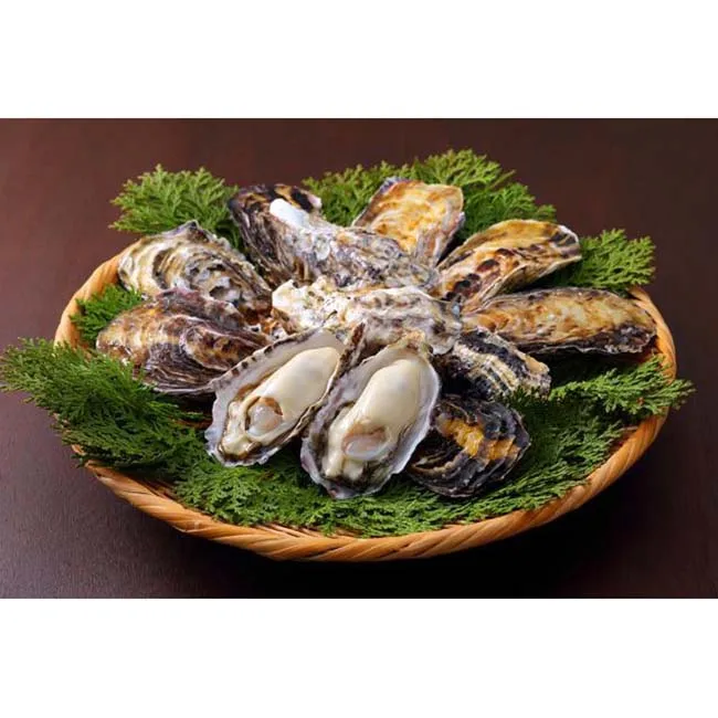 
Stable supply aquaculture live oyster for sale with good price 