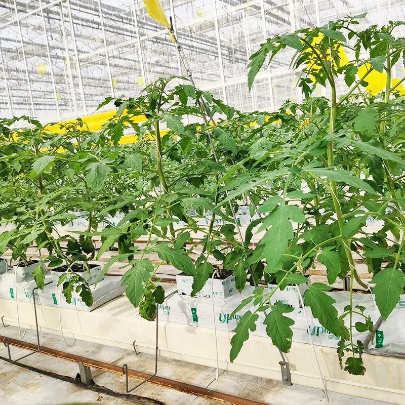 UPuper 40x8x3 inch cultivation strip agricultural rock wool tomato growing bags hydroponic