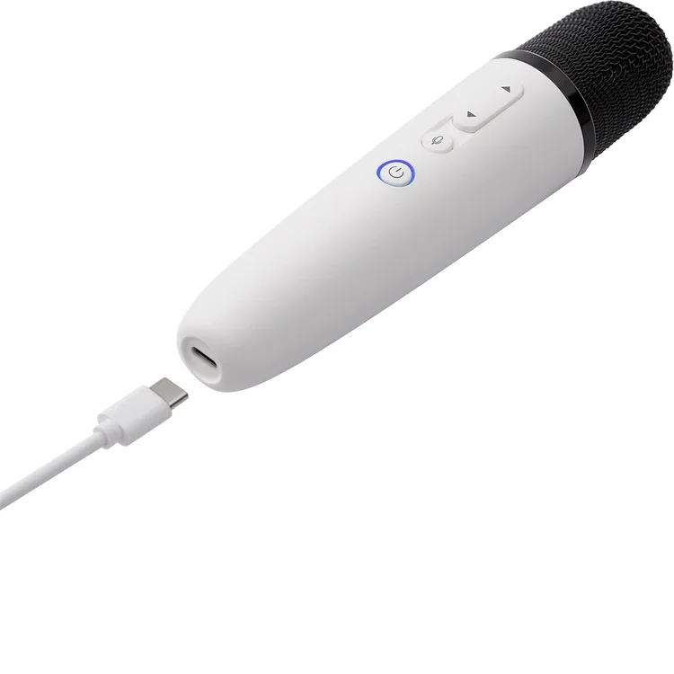 Лидер продаж, настольный микрофон для караоке для домашнего караоке KTV