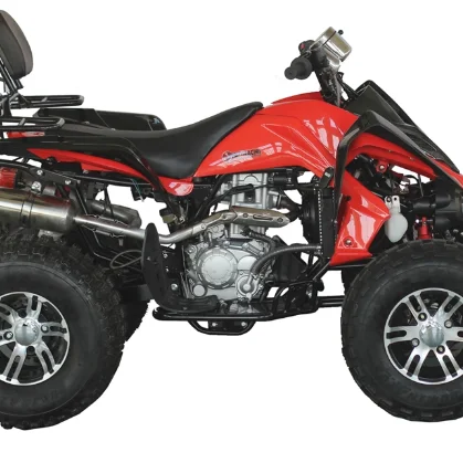 2022 new design 250cc air cooled  lifan quadbike quad quad bike atv for adult  With CE Approved