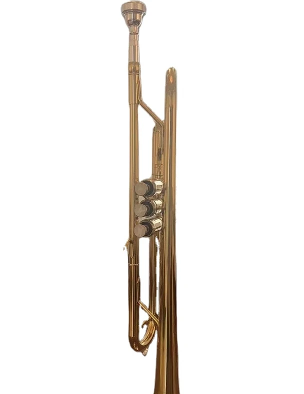 Popular Trumpet trumpet(HTL-671)
