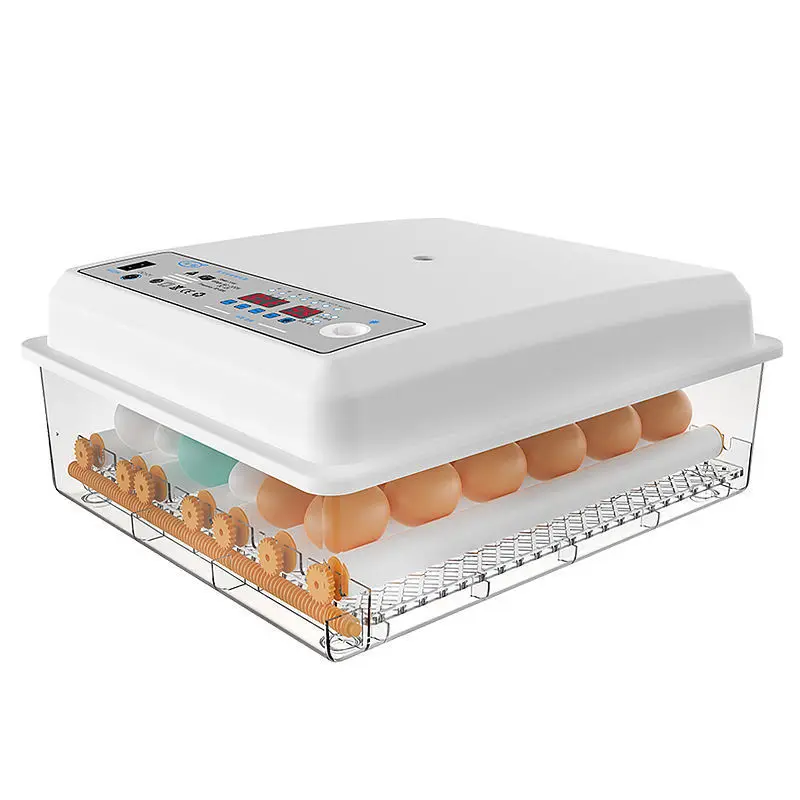 Small multi-functional automatic hatching of a variety of egg incubators