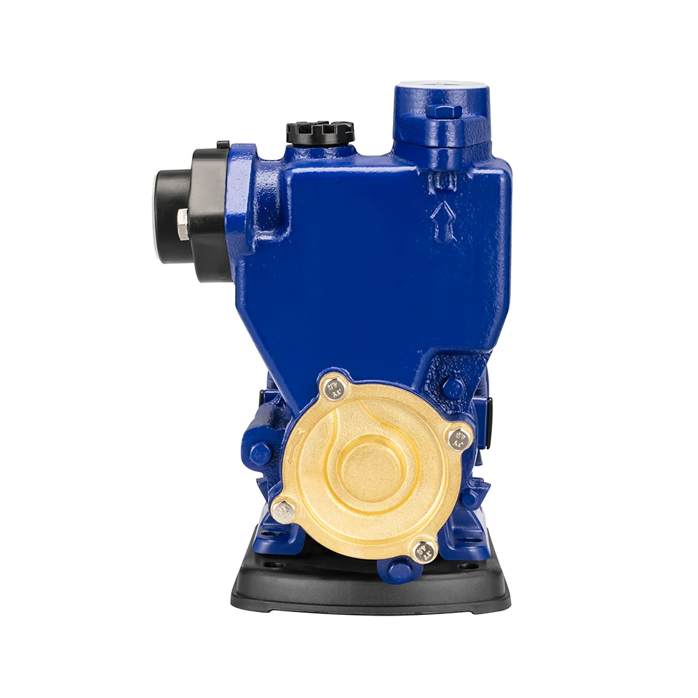 Automatic 220v electric selfpriming vortex water booster pump