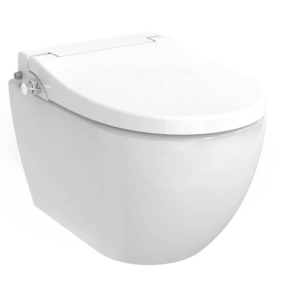 Affordable intelligent bidet seat 220v electronic water washing bidet shower toilet seat