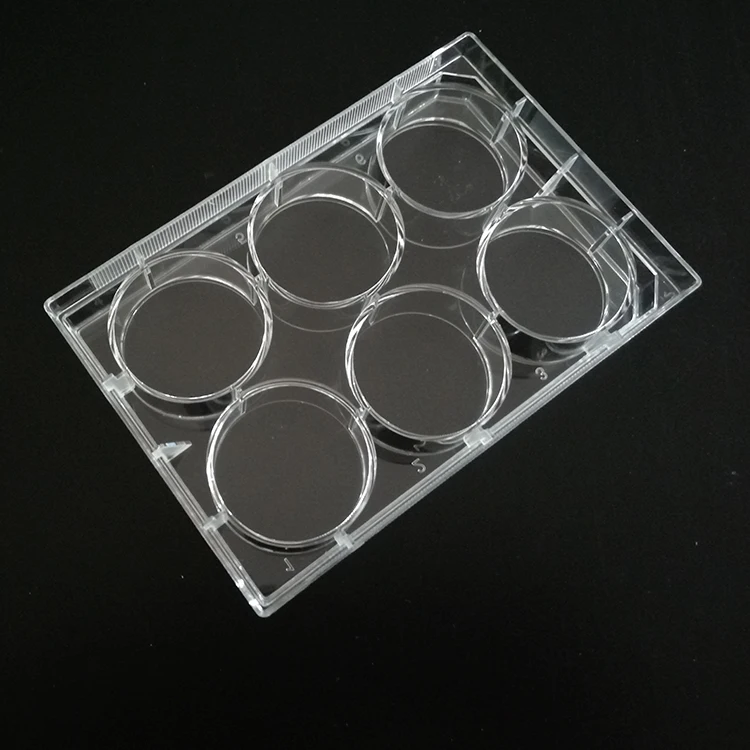 Disposable Lab Product  6 wells Cell Culture Plate