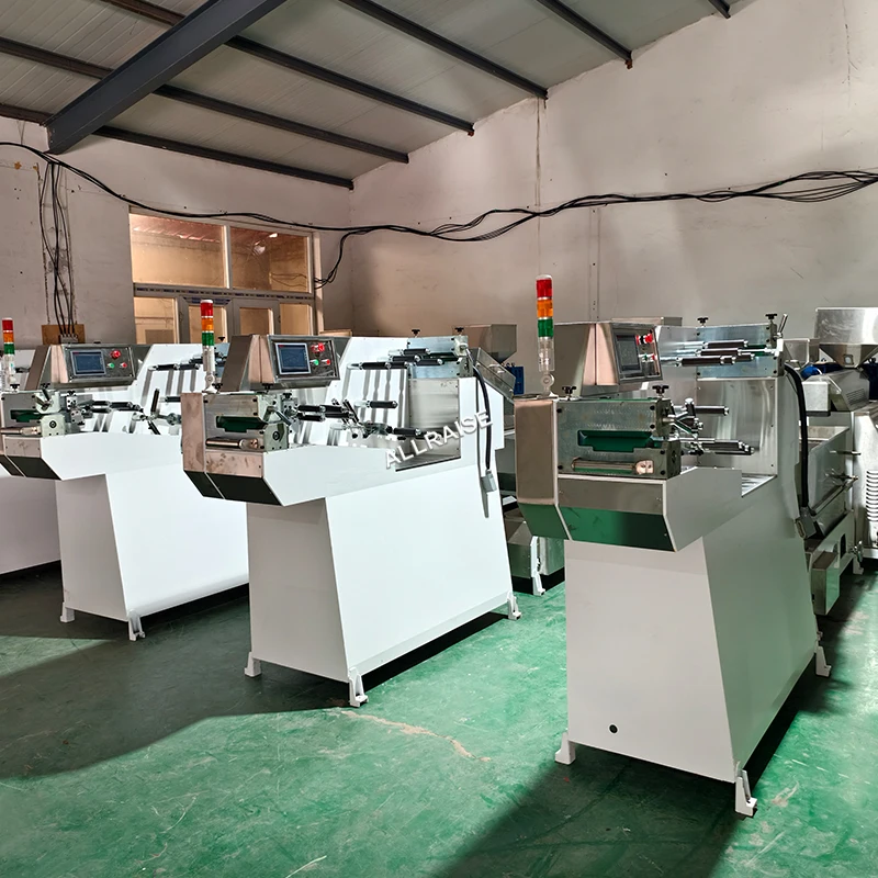 Good price easy operation PE Zipper Extruder Machine
