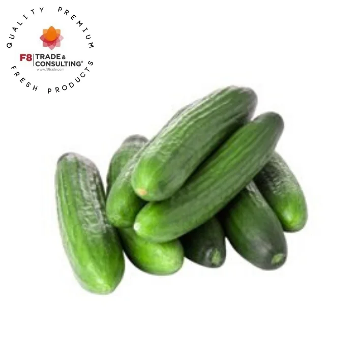 
Fresh Organic American Silcer Cucumber 