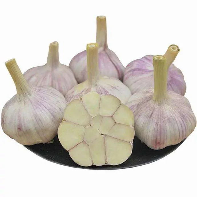 5,5 см Заводские Оптовые продажи нормальный белый свежий чеснок оптом чеснок порошок чеснока