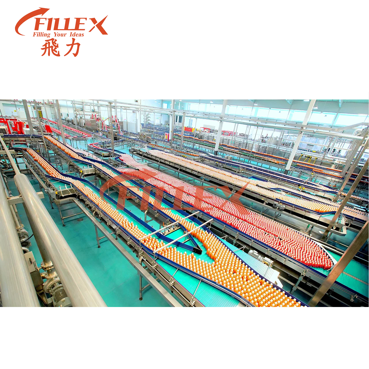 Water Bottle Flat Conveyor with Motor