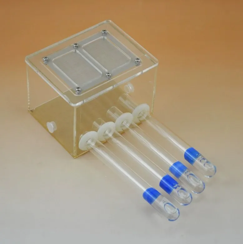 Small Ant Nest Tube Farm Formicarium Ant Workshop for Colony Feeding