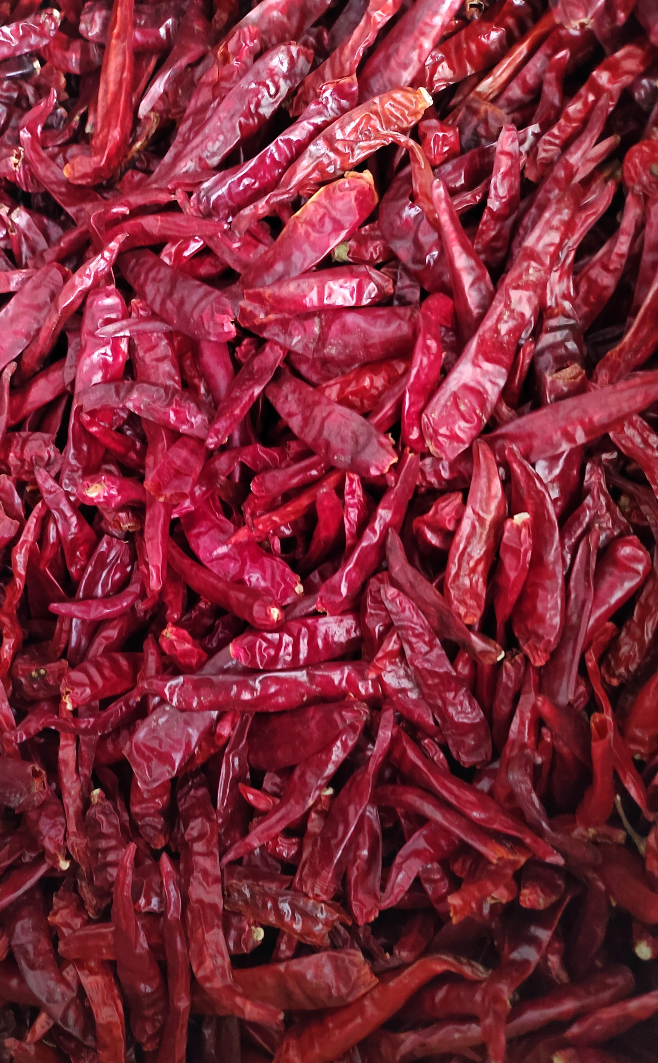 Dried Red Chili Spicy Food Variety in Bulk Packaging for Adding Flavor to Your Dishes