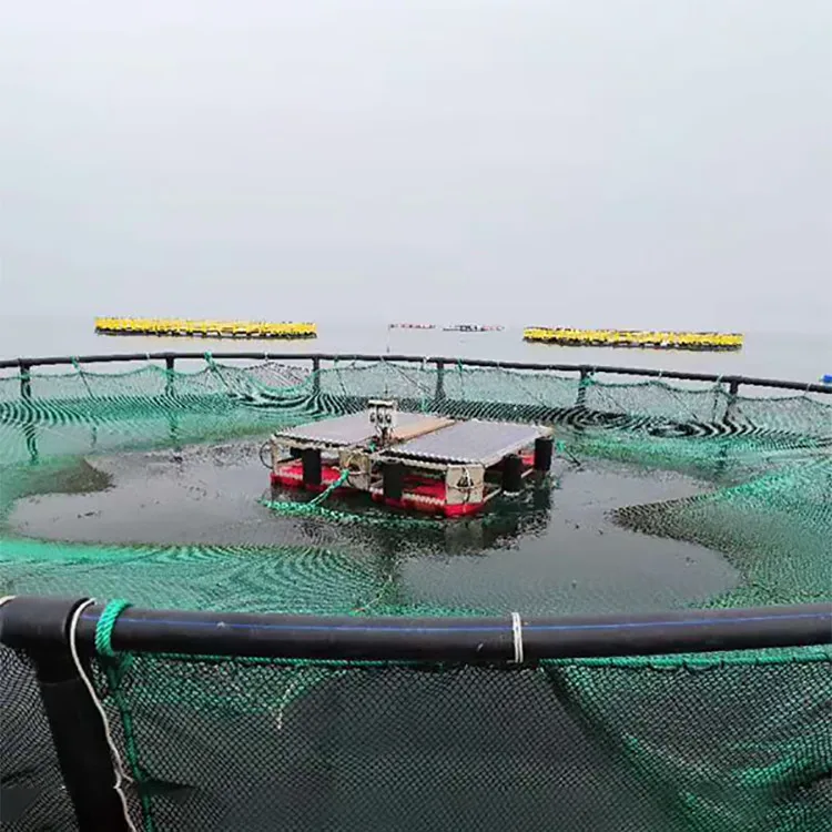  Tilapia HDPE круглая Складная Рыболовная Ловушка рыболовная
