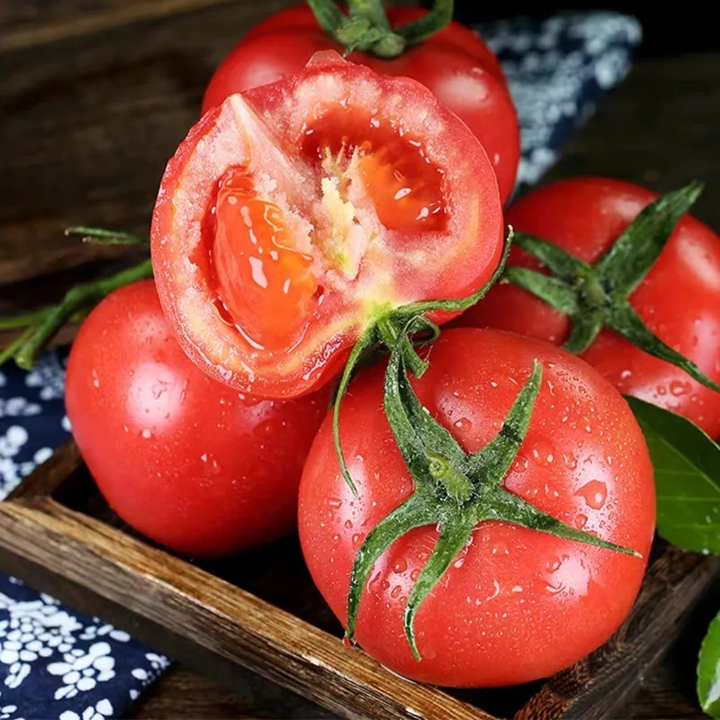 High Quality Fresh Vegetables tomatoes  From China Sweet tomatoes
