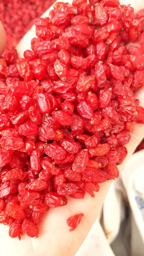 Barberries Dried Barberries  Bulk High Quality Barberry - Zereshk for Sale
