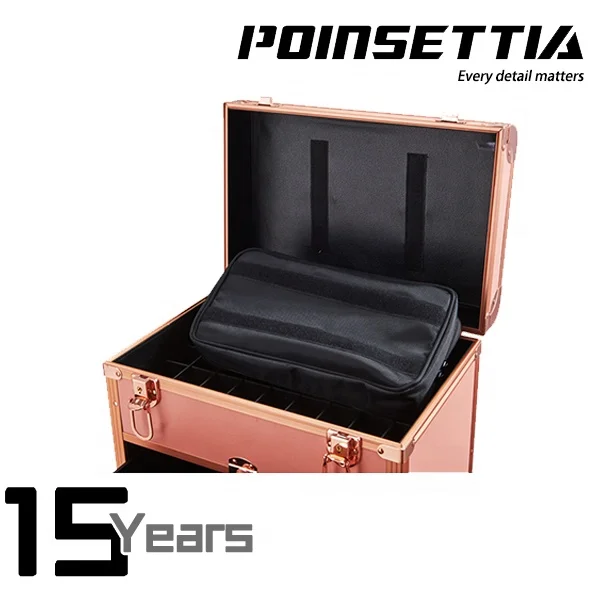 Beauty Rolling Makeup Trolley Salon Cosmetic Hair Stylist and Professional Nail Artist Train Case Hairdressing Organizer Box