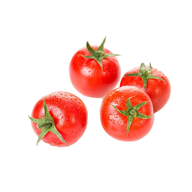 
Wholesale Box Style Storage Packaging Organic Tomatoes Fresh Tonfresh Tomato fresh Plum Tomatoes 