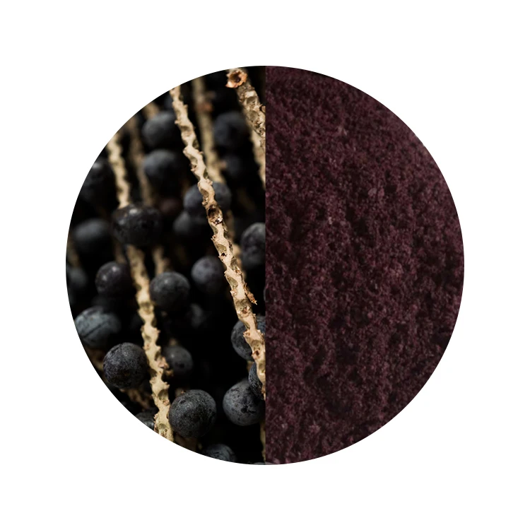 Natural Certified Organicfreeze Dried Acai Berry Powder For Vegan Keto Diets And Break Fasting