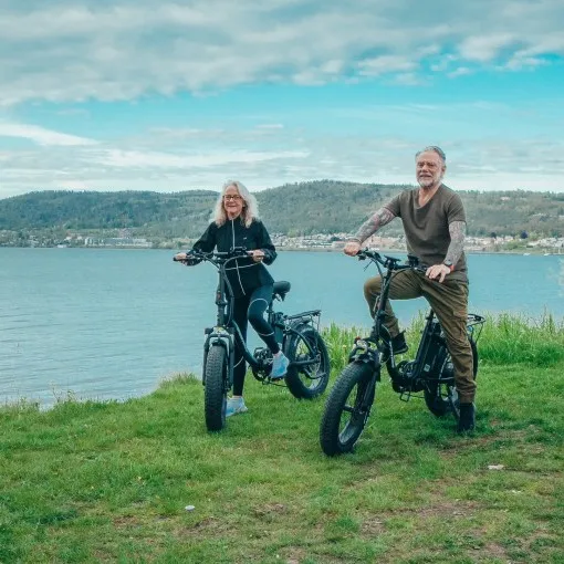 EU US warehouse 750W electric bike bicycle motorbike exercise electric city bike folding bicycle mountain ebike road bike