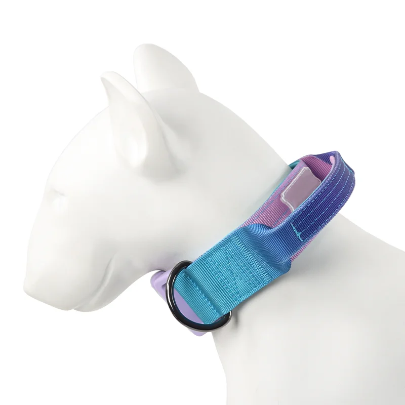 Stylish Adjustable Purple and Blue Clashing Colour Pet Collar with Plastic Accessories Dog Collar with Soft Handle For Dog