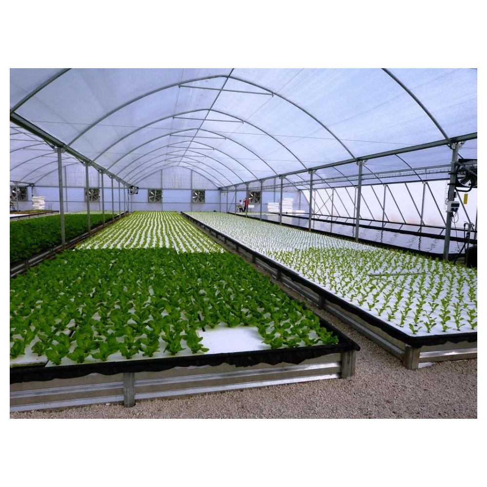 Aquaponic floating raft foam board hydroponic system for greenhouse DWC growing system greenhouse irrigation system