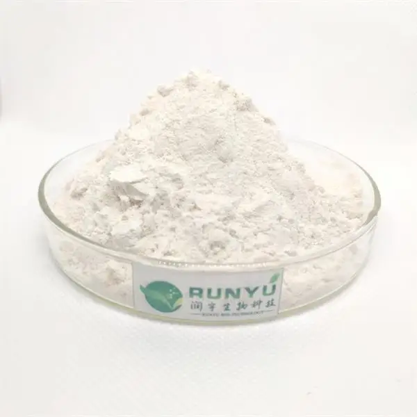 China manufacturer high quality lactase/lactase enzyme/lactase enzyme powder 1kg price