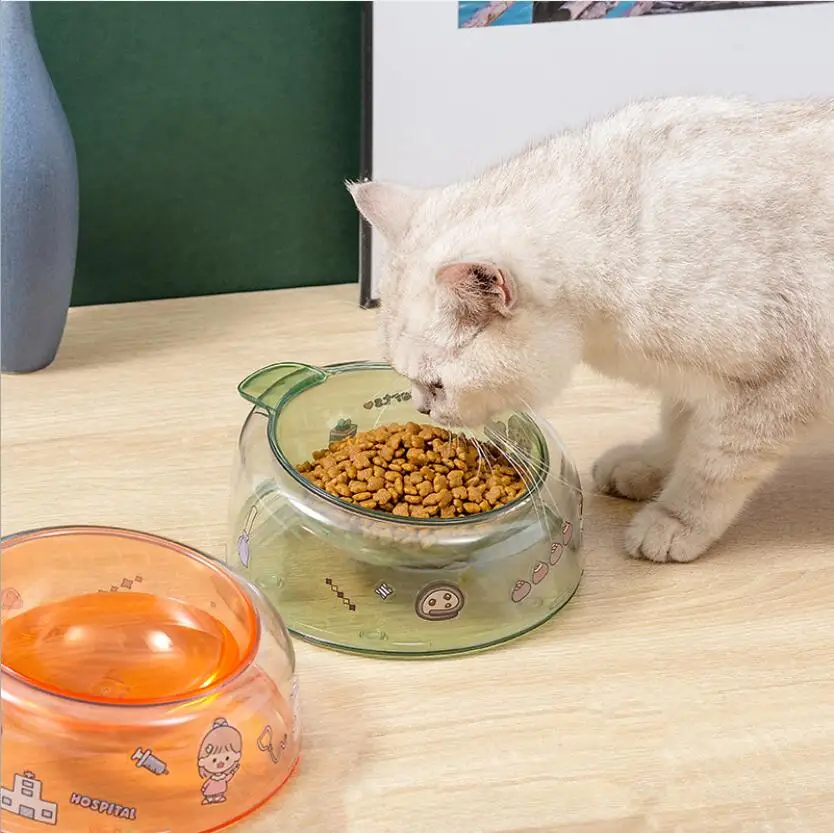Colorful clear cat bowl elevated with angle pet bowl
