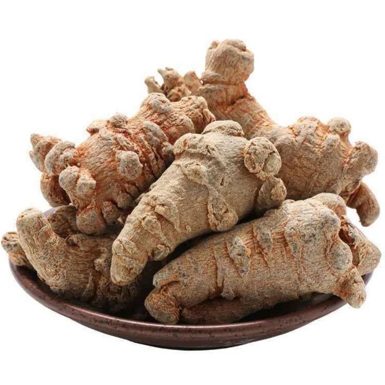 Chinese Natural Herbal Dried Sanqi Root Raw Panax Notoginseng/Pseudo-Ginseng in Block Shape