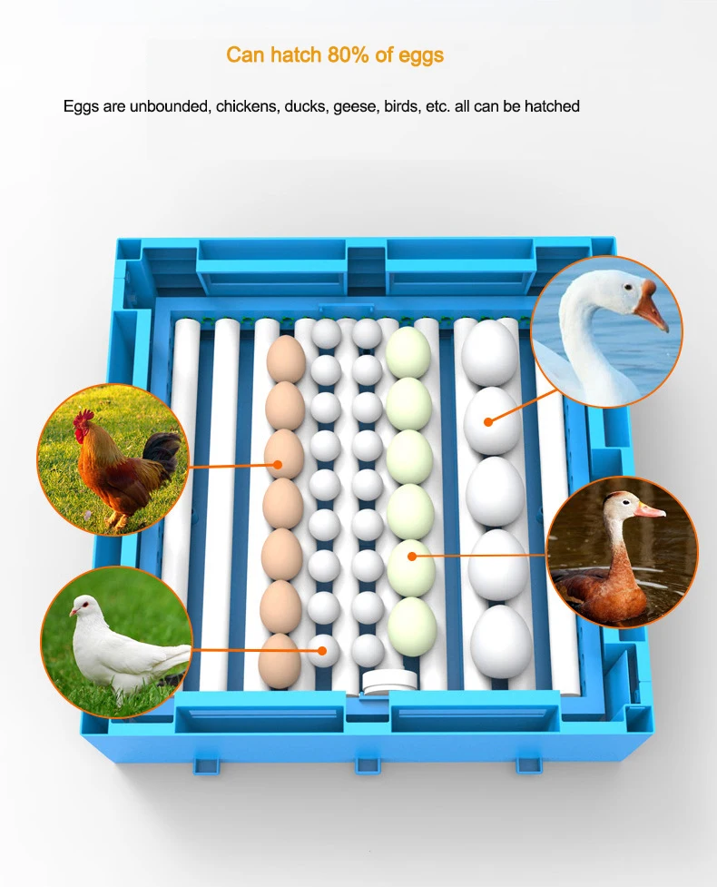 Помольный агрегат с двумя источниками питания 12V 220V инкубаторов яиц птицы курица птица инкубатор выводной шкаф инкубационных инкубаторы