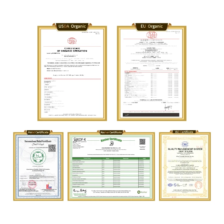 Wholesale OEM Private Label Organic Green Matcha Powder Ceremonial Matcha