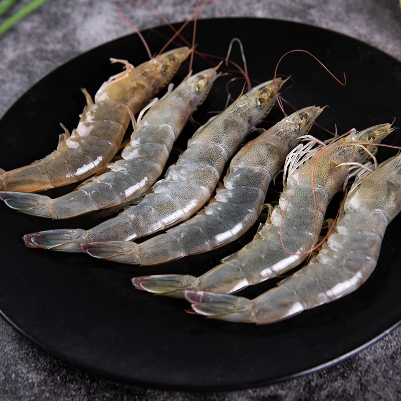 Improve water ecological enviroment accelerate growth aqua probiotics