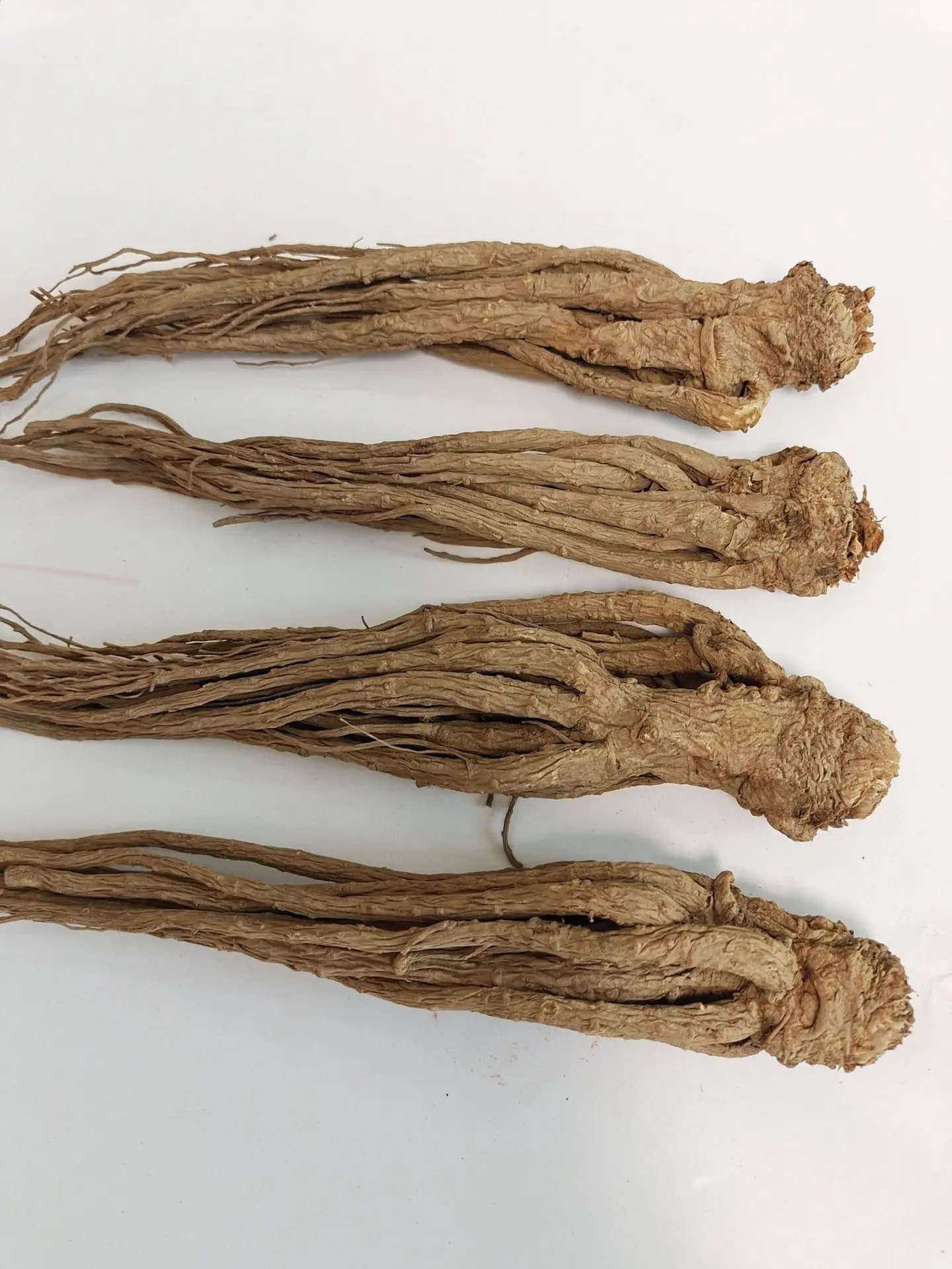 Sun Dried Chinese Angelica Sinensis Radix Angelicae Sinensis