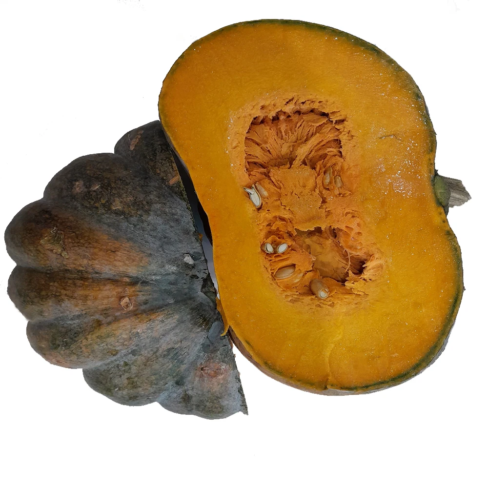 Viet Nam Pumpkin With High Quality Originated From Viet Nam Manufacturer +84962246940 Whatsapp