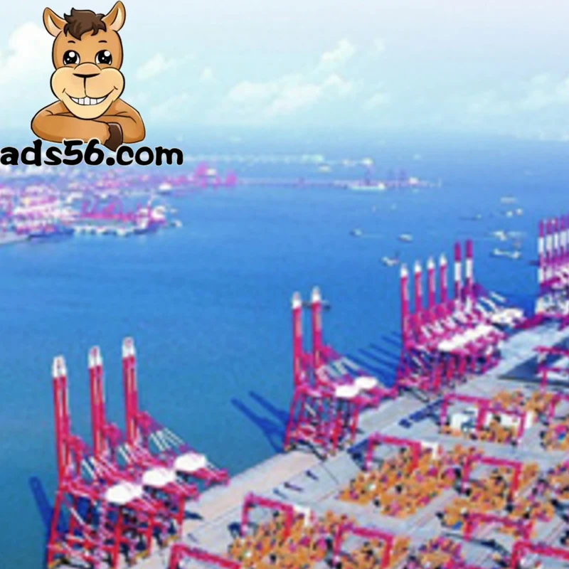 Freight Service from China to Morocco LCL Shipping Agent to Trinidad and Tobago