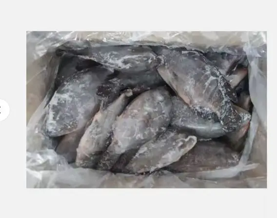 Wholesale Price Frozen Black And Red Tilapia Fish High Quality Hot Selling Fresh And Frozen Seafood  Red Tilapia Fish For Export